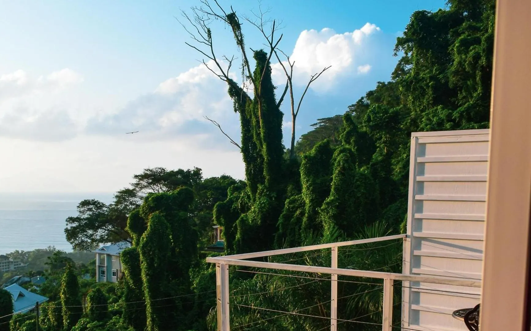 Wild Vanilla Apartment 博瓦隆
