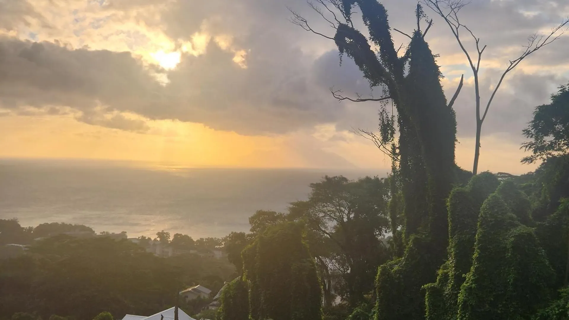 Wild Vanilla Apartment Beau Vallon   Beau Vallon (Mahe)