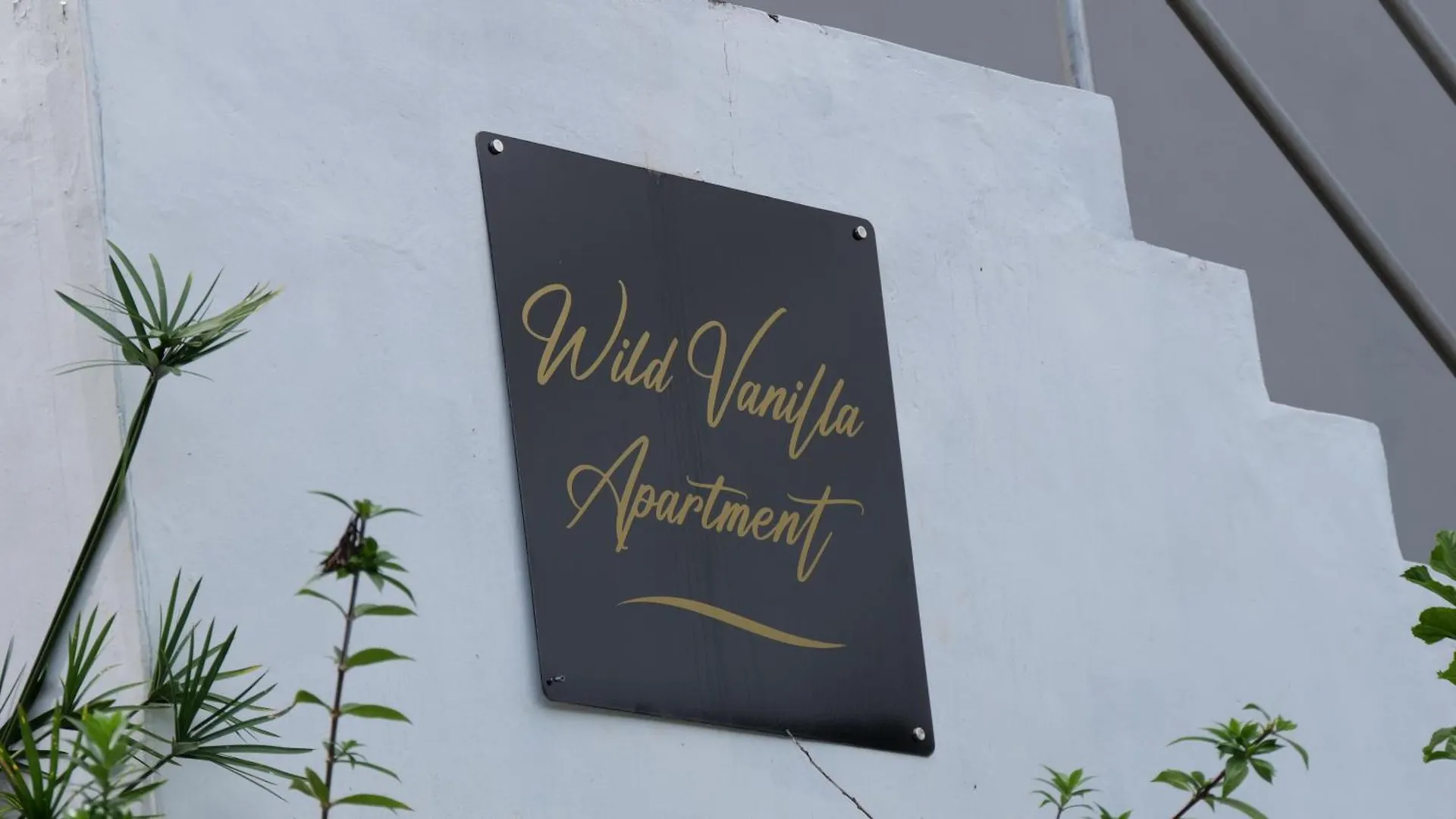 Wild Vanilla Apartment ボー・ヴァロン 0*,