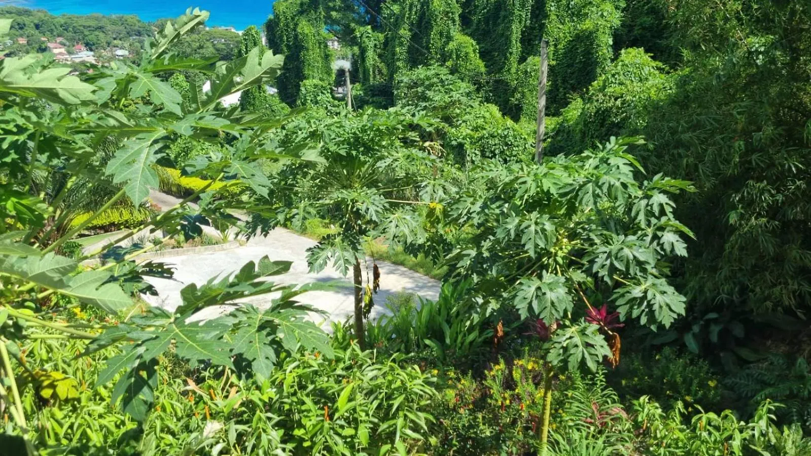 Wild Vanilla Apartment Beau Vallon  0*, Beau Vallon (Mahe)